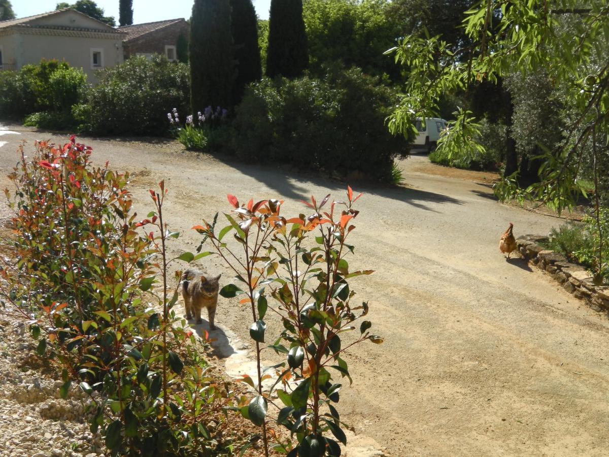 Villa Evajade Beaumes-de-Venise Extérieur photo